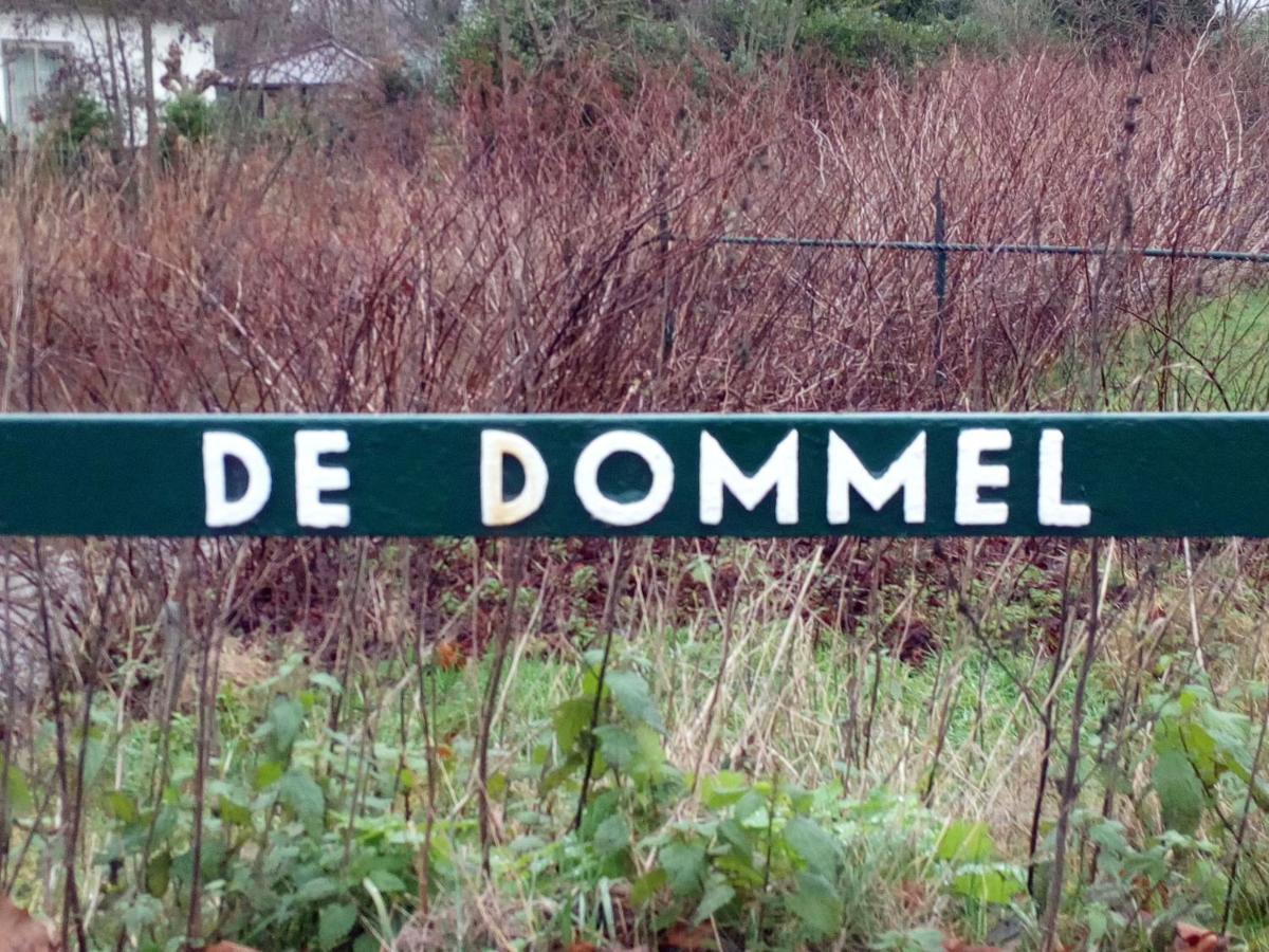 Vakantiehuis In Het Voorhuis Dommelen 外观 照片